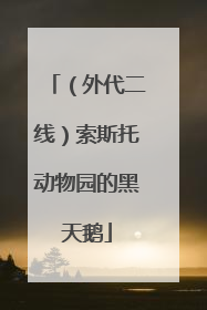 （外代二线）索斯托动物园的黑天鹅