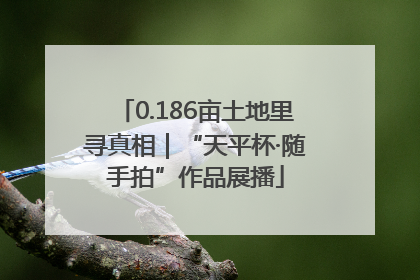 0.186亩土地里寻真相｜“天平杯·随手拍”作品展播