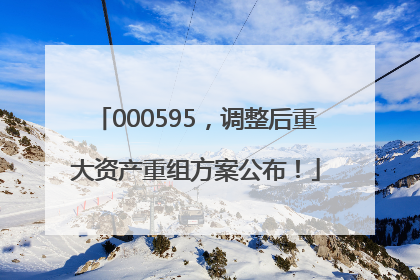 000595，调整后重大资产重组方案公布！