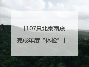 107只北京雨燕完成年度“体检”