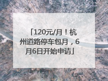 120元/月！杭州道路停车包月，6月6日开始申请