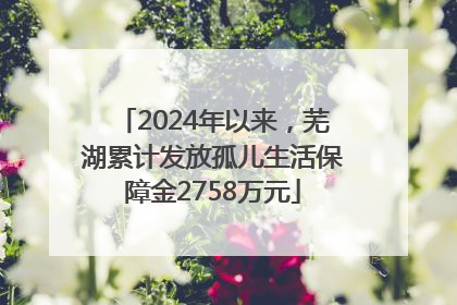 2024年以来，芜湖累计发放孤儿生活保障金2758万元