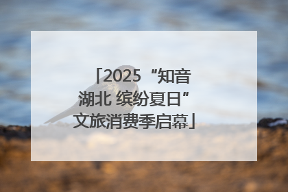 2025“知音湖北 缤纷夏日”文旅消费季启幕