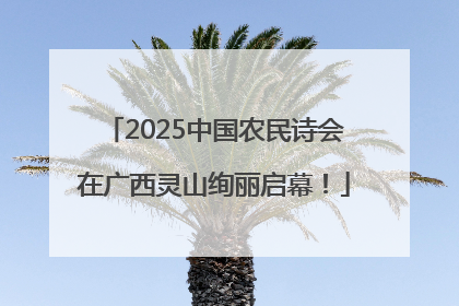 2025中国农民诗会在广西灵山绚丽启幕！