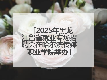 2025年黑龙江留省就业专场招聘会在哈尔滨传媒职业学院举办