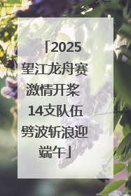 2025望江龙舟赛激情开桨 14支队伍劈波斩浪迎端午