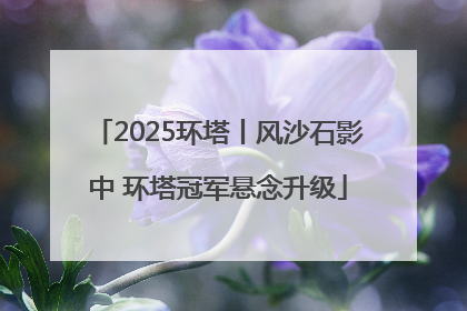 2025环塔丨风沙石影中 环塔冠军悬念升级