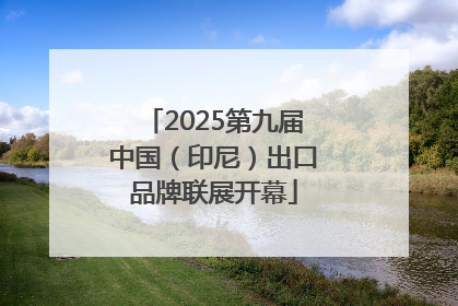2025第九届中国（印尼）出口品牌联展开幕