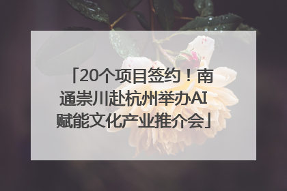 20个项目签约！南通崇川赴杭州举办AI赋能文化产业推介会