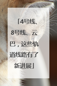 4号线、8号线、云巴，这些轨道线路有了新进展