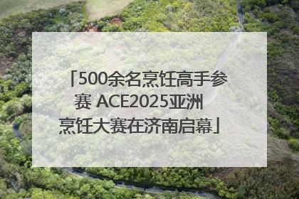500余名烹饪高手参赛 ACE2025亚洲烹饪大赛在济南启幕