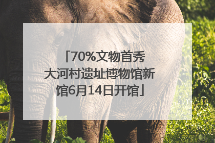 70%文物首秀 大河村遗址博物馆新馆6月14日开馆