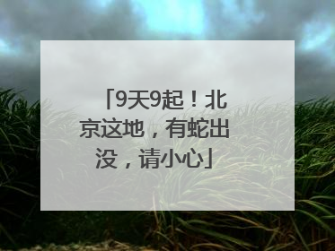 9天9起！北京这地，有蛇出没，请小心
