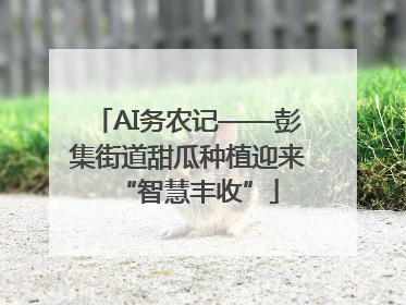 AI务农记——彭集街道甜瓜种植迎来“智慧丰收”