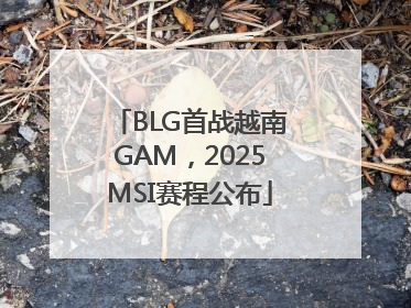 BLG首战越南GAM，2025MSI赛程公布