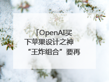 OpenAI买下苹果设计之神 “王炸组合”要再造一个苹果？