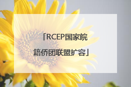 RCEP国家皖籍侨团联盟扩容